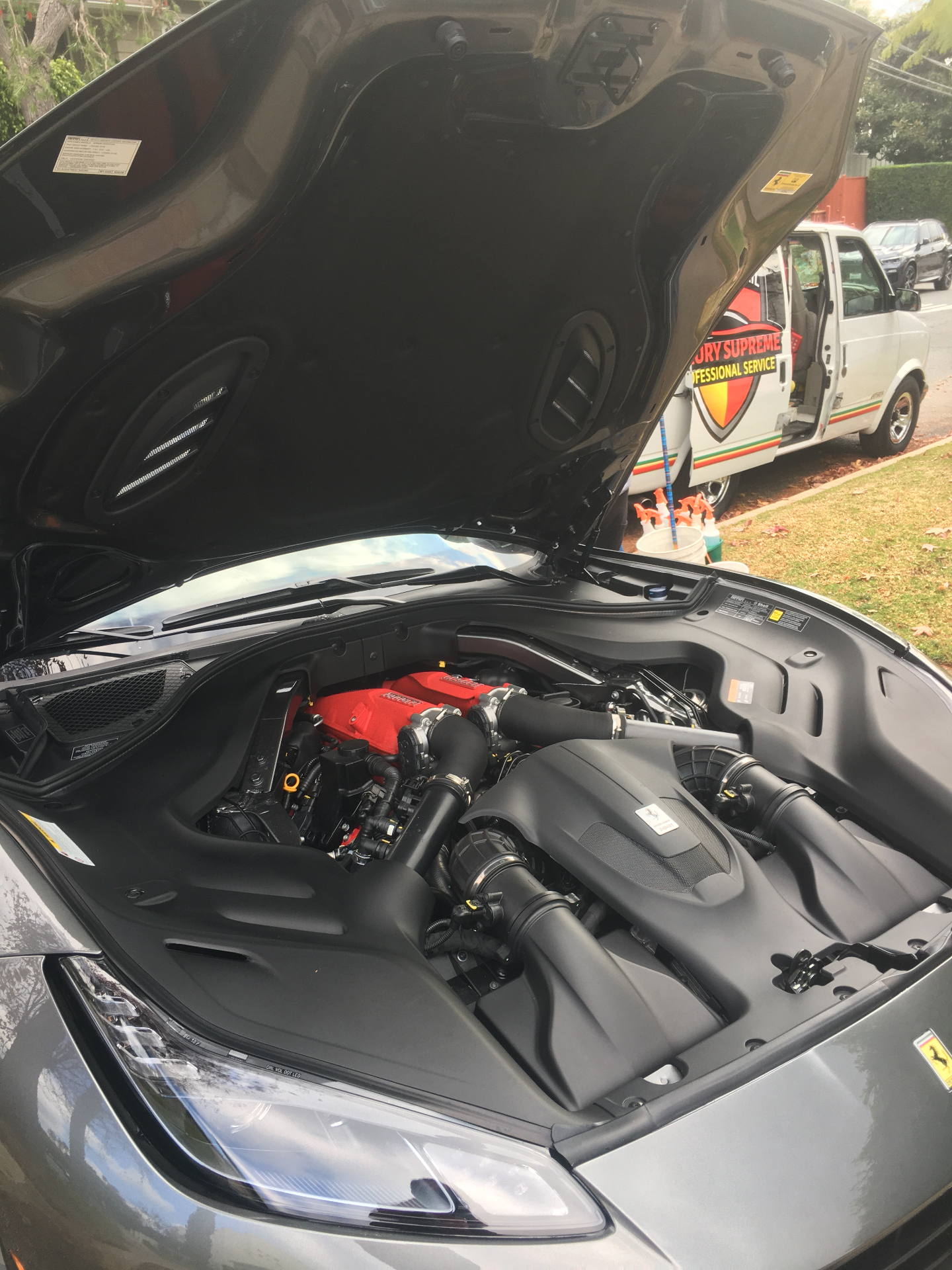 Ferrari engine bay detailed cleaning