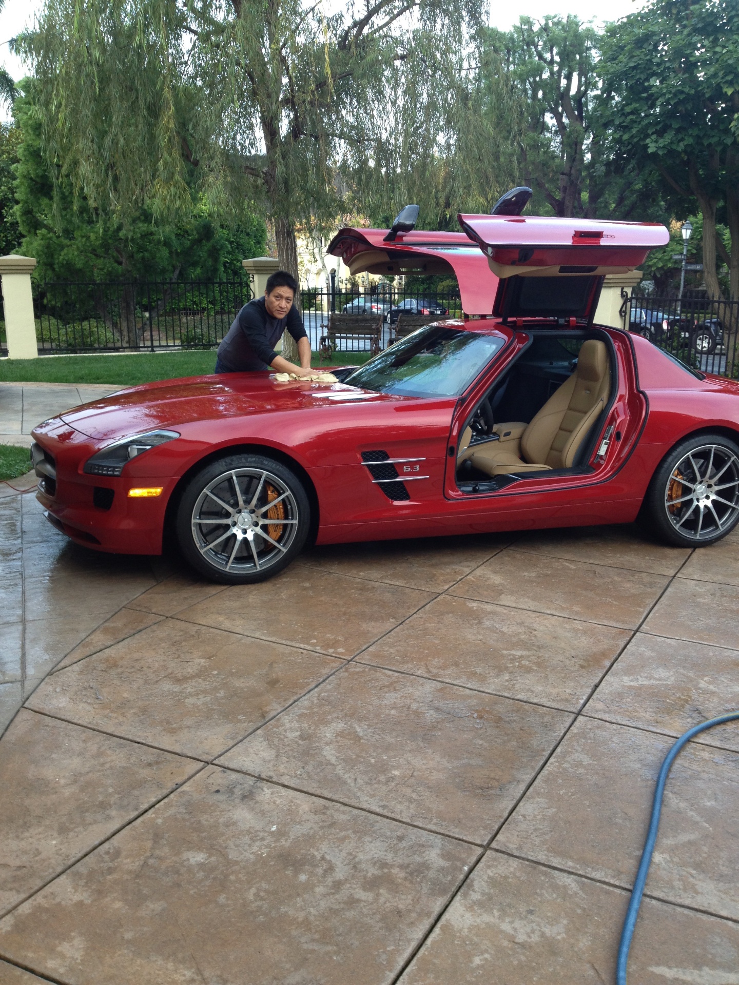 Mercedes SLS AMG red gullwing doors detailing