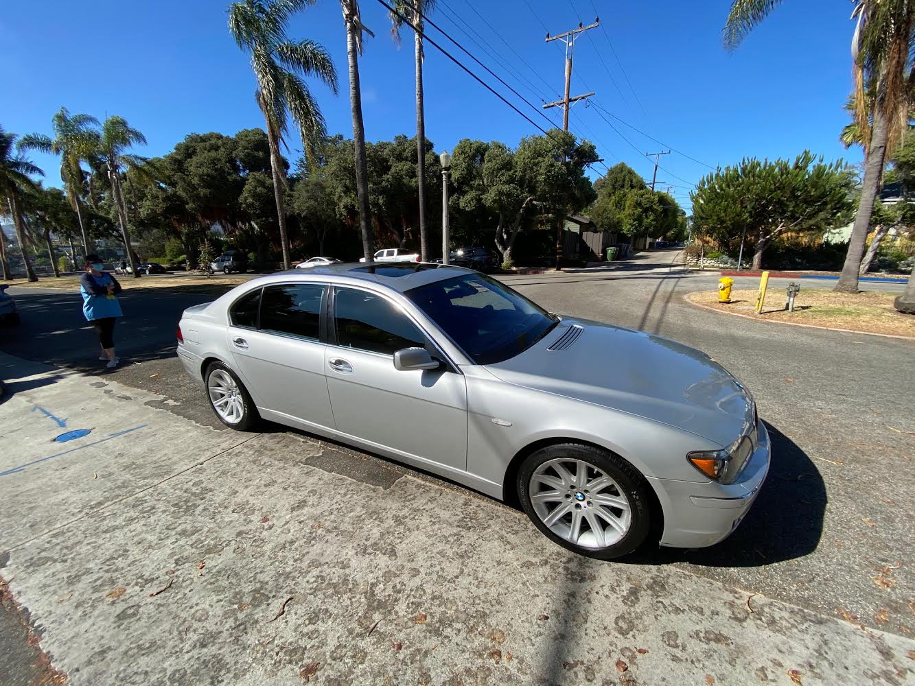 Silver BMW 7 Series on palm-lined street